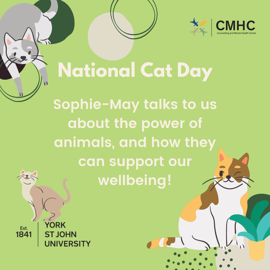 National Cat Day | The Love of Animals - York St John Communities Centre