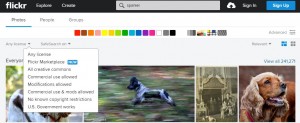 Flickr menu