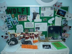 Some of the finished products from the homework