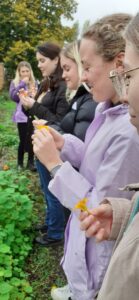 Education students at the York St John allotment trying nasturtium flowers