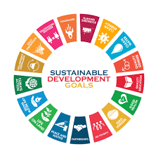 Infographic of the SDGs