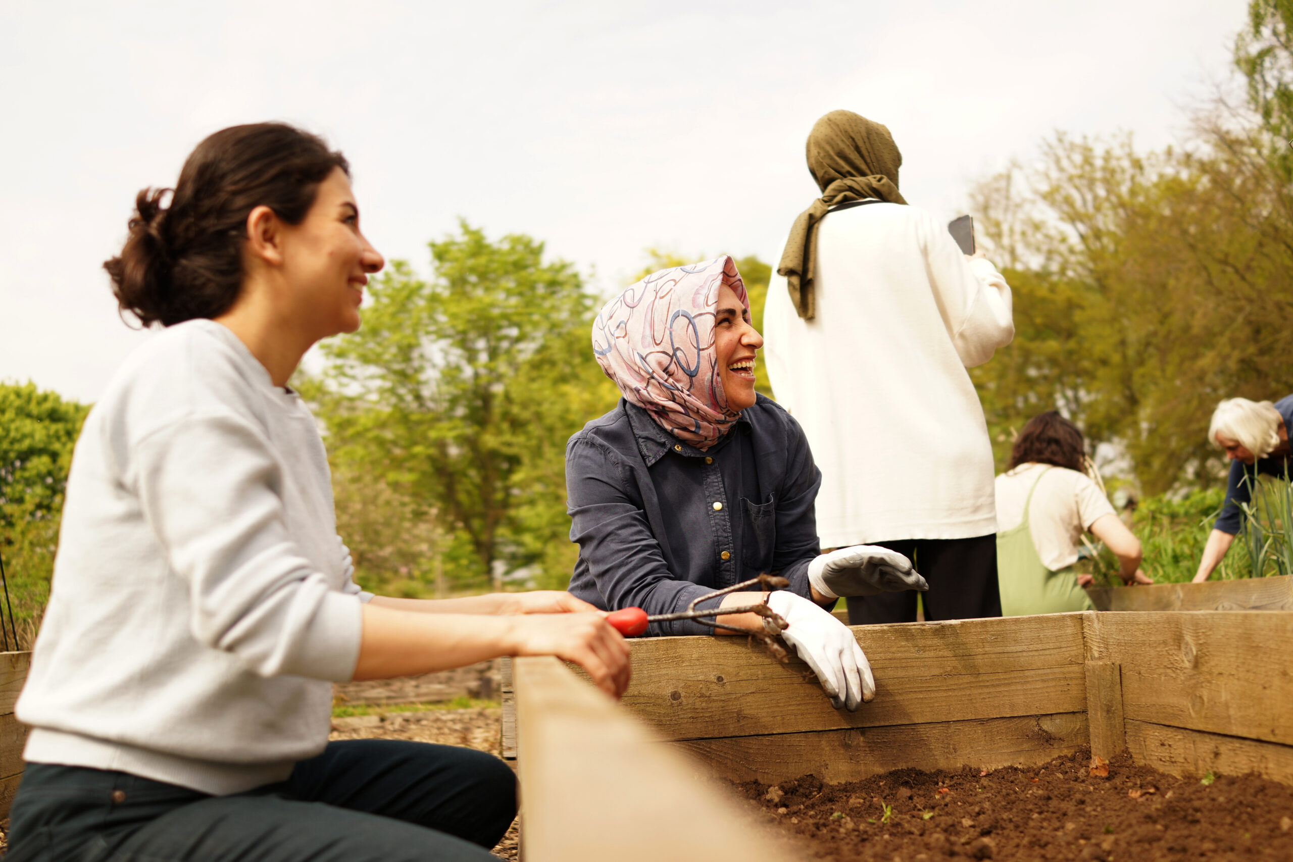 The Haxby Road Community allotment project