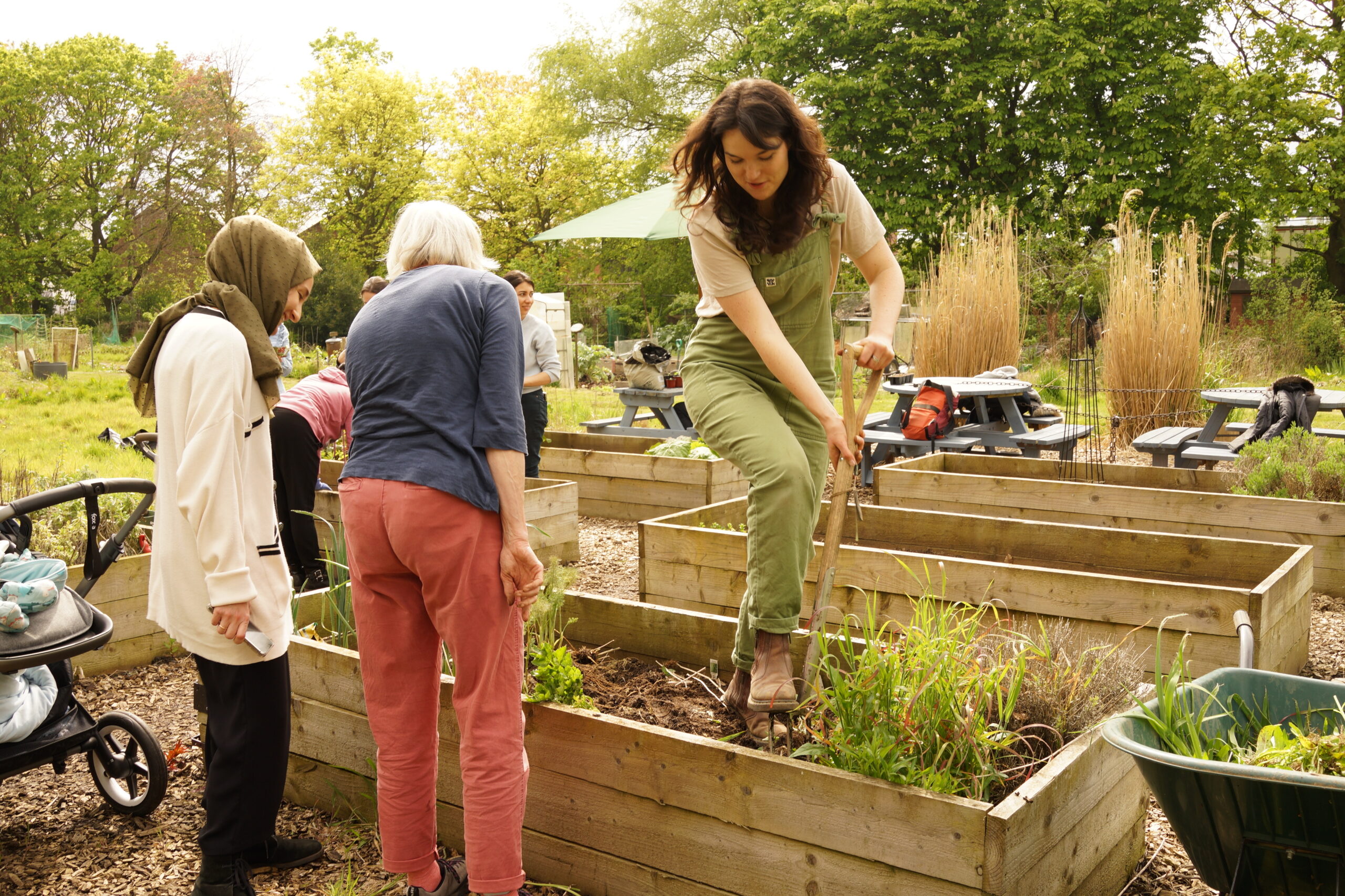 The Haxby Road Community allotment project