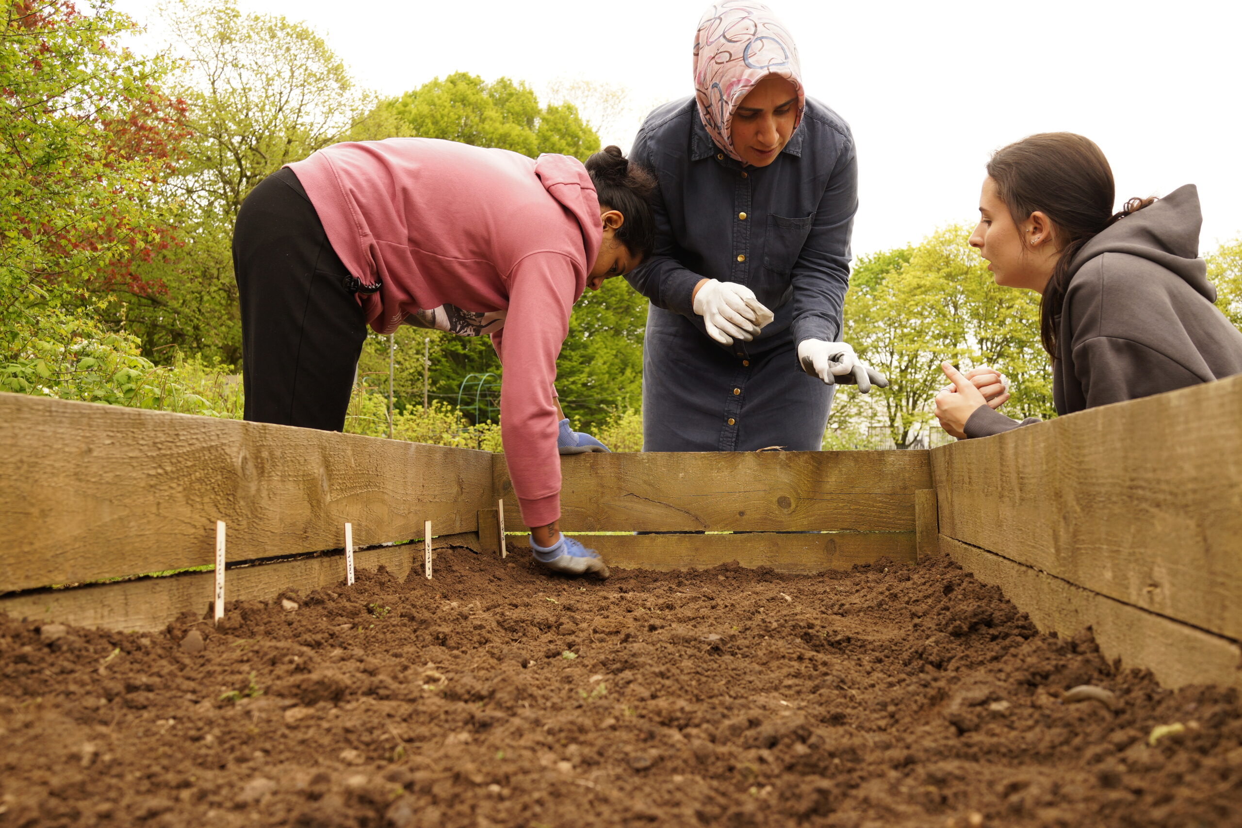 Working at Haxby Road allotment sites