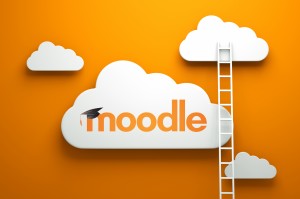 moodle-ladders