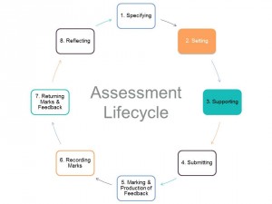 Assessment Lifecycle