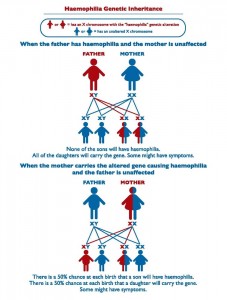 Haemophilia Genetic Inheritance Diagram from The Haemophilia Foundation Australia 