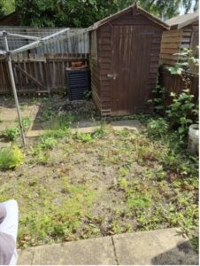 An image of a garden where the grass is patchy with lots of weeds