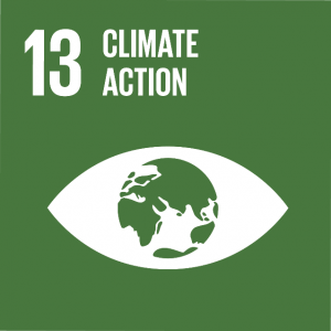 Global Goal 13