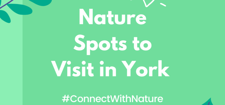 Nature Spots to Visit in York #ConnectWithNature