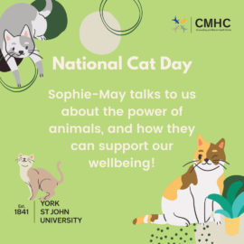 National Cat Day | The Love of Animals