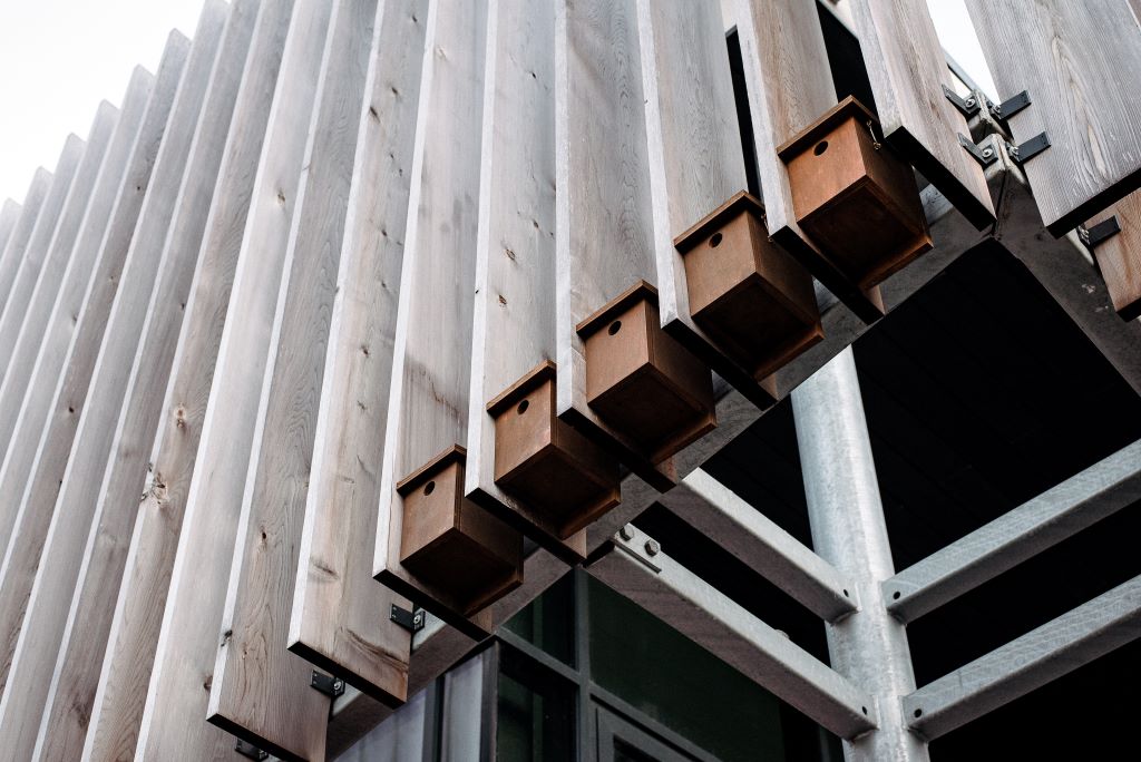 Bird boxes built into wooden slats on a building on campus.