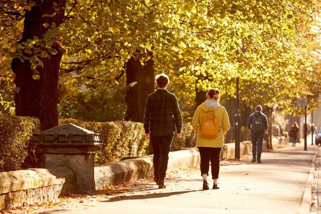 Two people walking on campus under an autumnal tree.