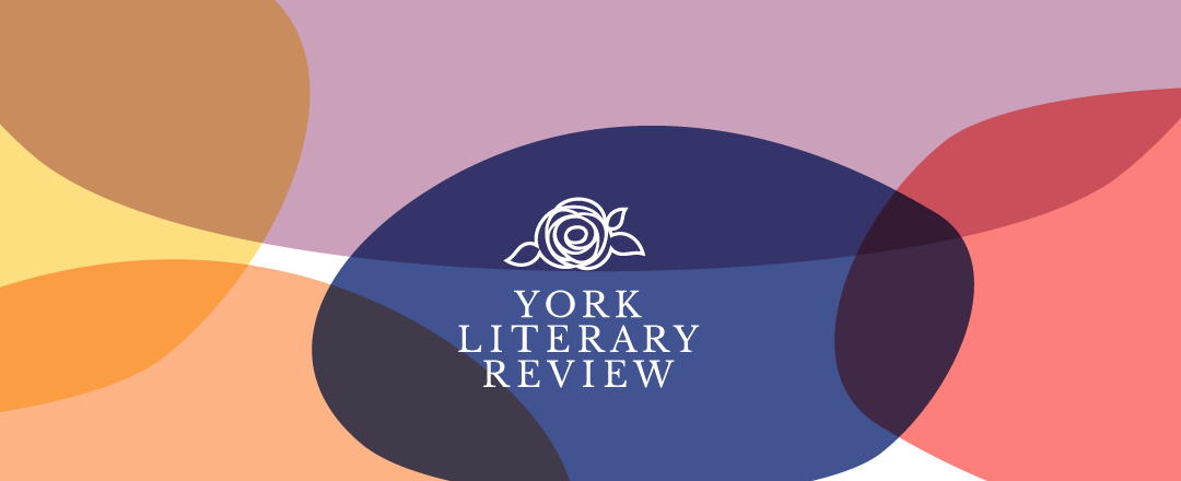 literature review logo