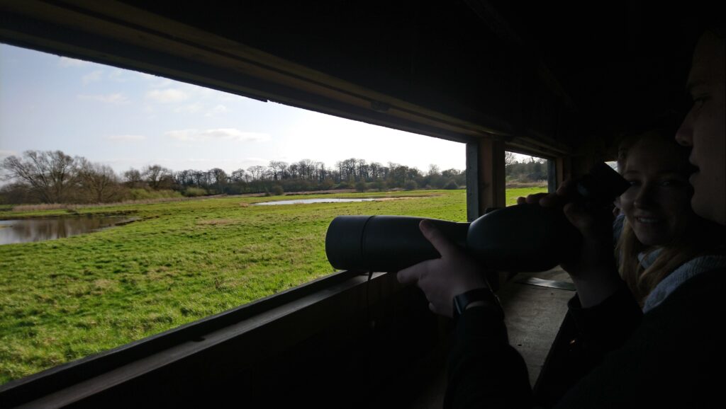 Looking out from a bird hide onto a grassy field with ponds