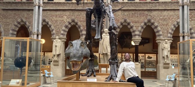 Why you should apply for Oxford University Museum of Natural History Undergraduate Bursary Scheme