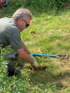Tansy planting project at Haxby Road Sports Park, York St John University