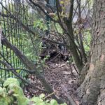 Hedgehog houses at Haxby Road Sports Centre site