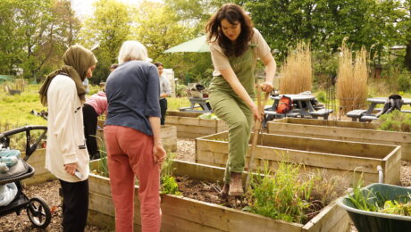 The Haxby Road Community allotment project