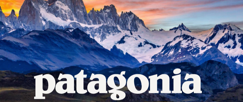 Patagonia Don't Buy This Jacket -