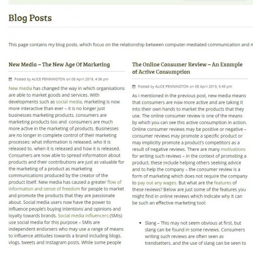 Preview image of blog - screen shot of Blog page