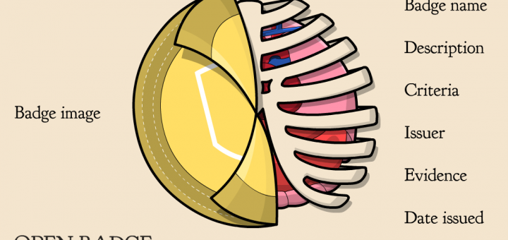 Picture of the anatomy of an Open Badge