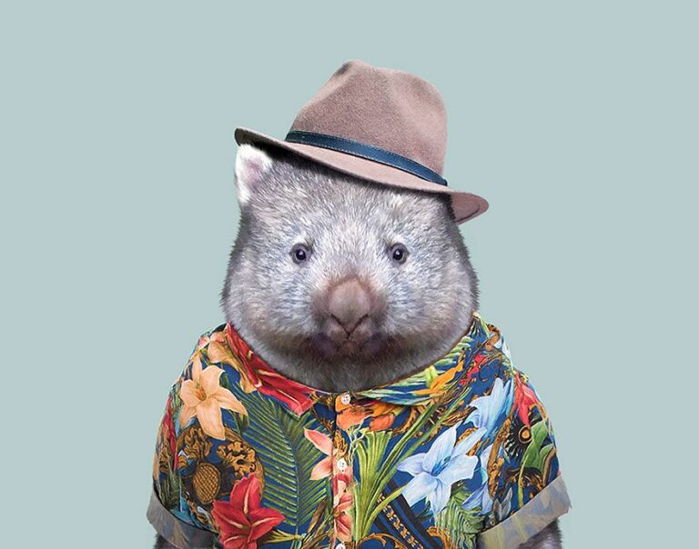 Wombats For Life, Not just for Chirstmas - Wombats United