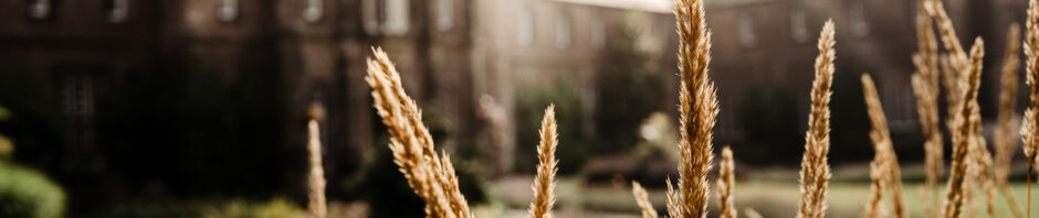 a landscape photo of the front of york st john university. In the right foreground there are dried grass stems. The dark stone building of York St John entrance is blurred in the background